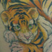 tattoo galleries/ - Tiger with cub