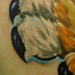 tattoo galleries/ - Tiger paw Tattoo