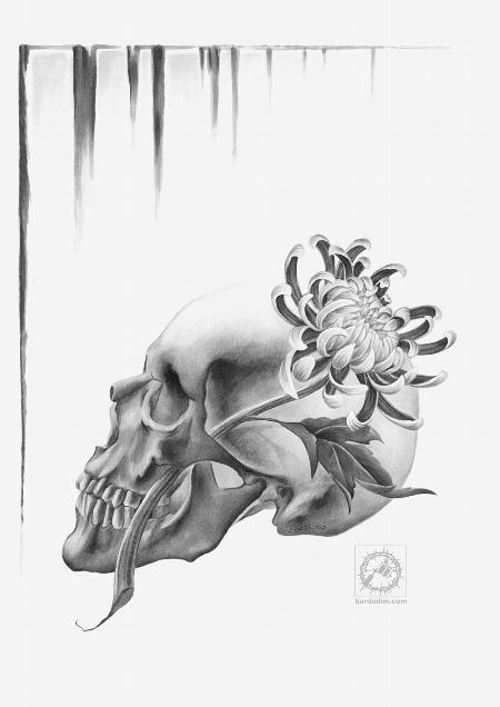 Art Galleries - Skull and a chrysanthemum drawing. - 61632