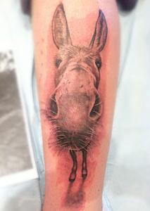 tattoos/ - Photo Realistic Black and Gray Donkey Tattoo - 67651