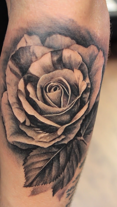 Tattoos - Black And Gray Striped Rose - 119681