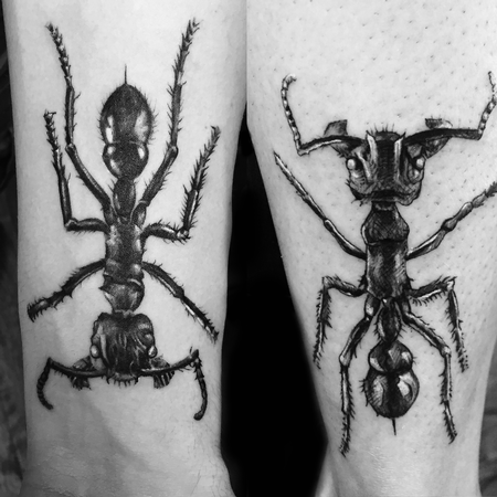 Tattoos - Matching Ant Tattoos (Arm and Leg) - 120169