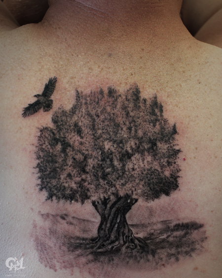 Tattoos - Olive Tree Tattoo - 129491