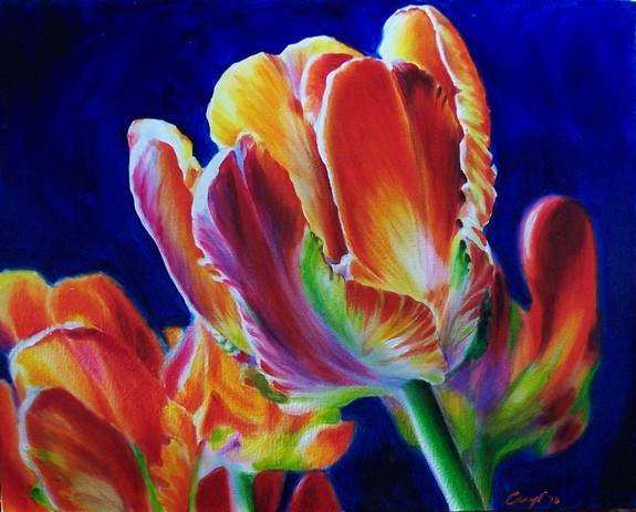 Art Galleries - Tulips - 50278