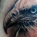 Tattoos - eagle - 47476