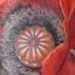 Flower Half Sleeve Tattoo Design Thumbnail