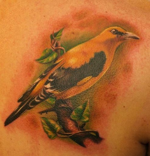 tattoos/ - Bird Tattoo - 50308