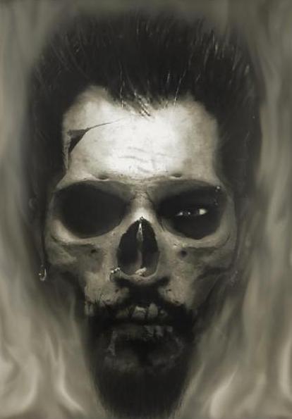Art Galleries - Skull Morph Portrait Artwork - 56344