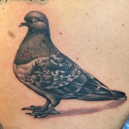 tattoos/ - Pigeon - 108277