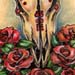 tattoo galleries/ - Cow skull and Roses flash