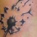 tattoo galleries/ - Dandelion on wrist