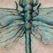 tattoo galleries/ - Dragonfly tattoo