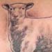 tattoo galleries/ - Lamb Tattoo