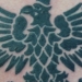 tattoo galleries/ - Polish Eagle tattoo