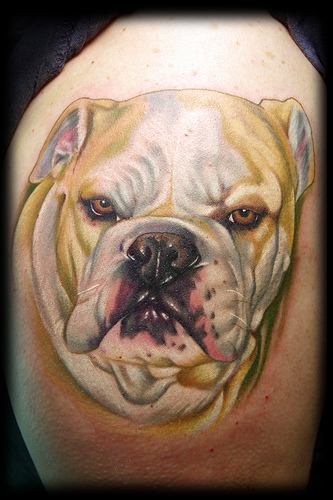 Keith Ciaramello - Realistic Dog Portrait. Bulldog