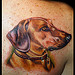 Tattoo-DVDs - Realistic Dog Portrait - 32910