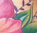tattoo galleries/ - Pretty Pretty Hibiscus Tattoo - 27321