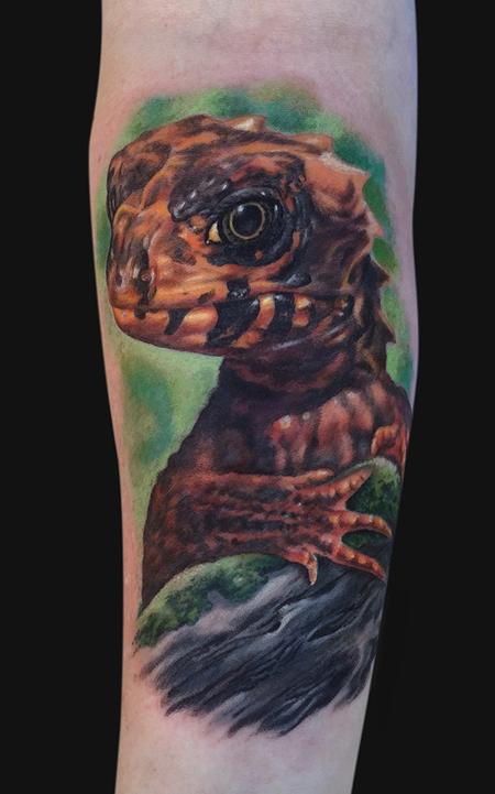 tattoos/ - Red Eyed Croc Skink Arm Tattoo - 104288