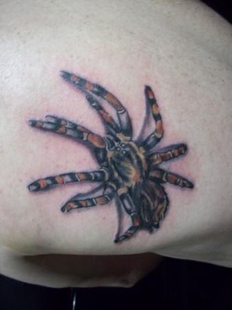 tattoos/ - Spider Tattoo - 49346