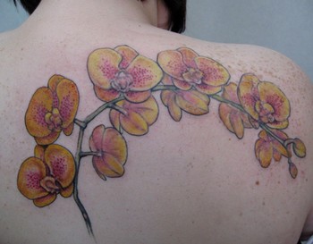tattoos/ - yellow orchids - 46446
