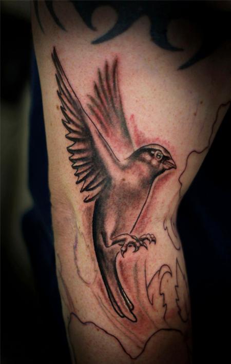 tattoos/ - Black and grey sparrow - 84350