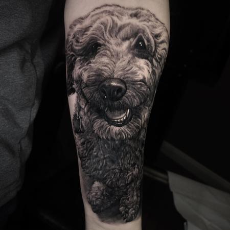 tattoos/ - Poodle Dog Portrait - 139647