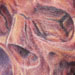 Tattoos - Skull Hand  - 24601