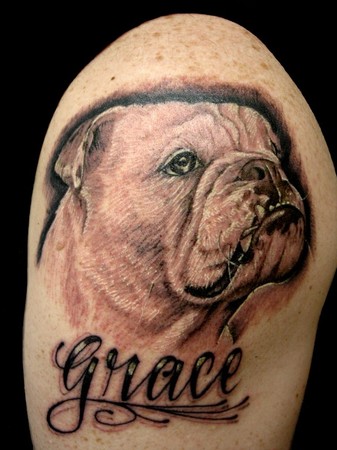 Randy Prause - Bulldog Portrait Tattoo