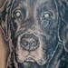 Tattoos -  - 40577