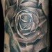 Tattoos - Black and Gray Rose - 39042