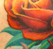 Tattoos - hello roses - 44185