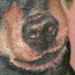 Tattoos - Mohawk Matt's dog - 33332