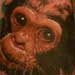 Tattoos - Realistic Monkey Tattoo - 32963
