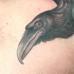 Tattoo-Books - Raven Tattoo - 141466