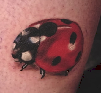 tattoos/ - realistic bug , lady bug - 25726
