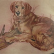 dog portrait, realist dog portrait Tattoo Design Thumbnail
