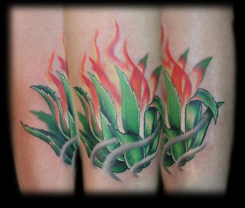 Annie Mess - Agave plant on fire
