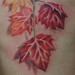 Tattoos - Fall leaves - 37409