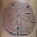 Tattoos - Sand dollar  - 37432