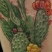Tattoos - Cactus  - 45096