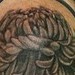 Black and grey Chrysanthemum Tattoo Design Thumbnail