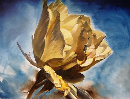 Art Galleries - Golden Rose - 60340