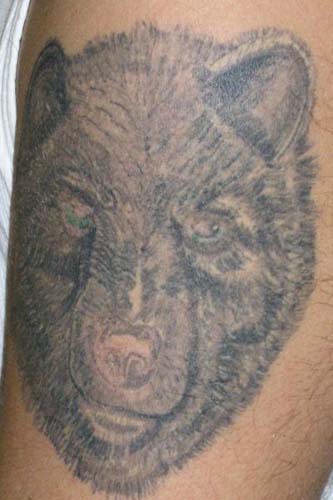 Tattoos Gone Bad - Bad Bear