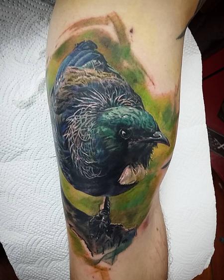 tattoos/ - Tui bird - 121947