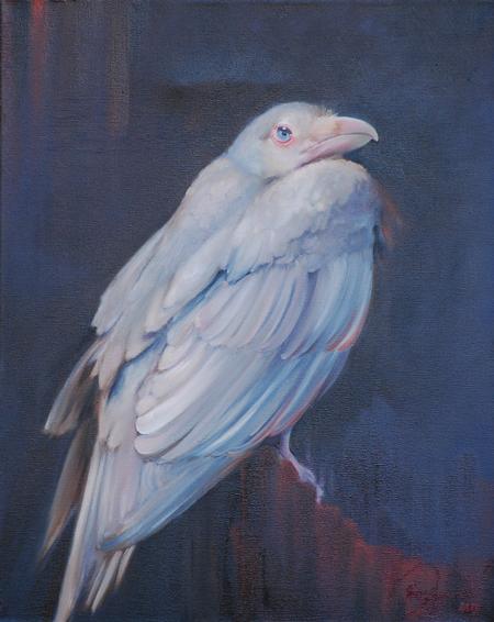 Art Galleries - Albino Raven - 80757