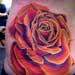 Tattoos - Large Orange and Pink Traditional Rose Tattoo - 32956
