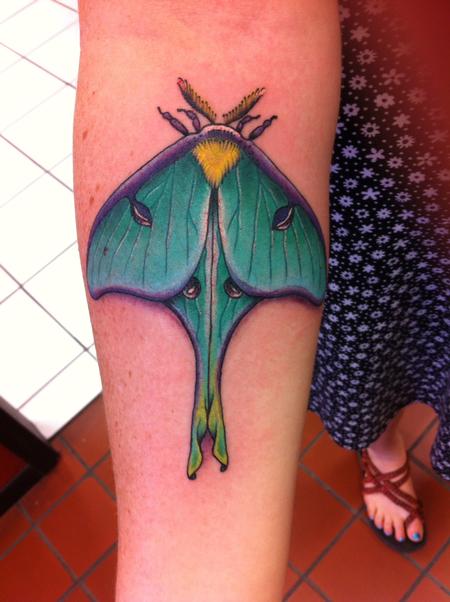 tattoos/ - Traditional Moth Tattoo   - 100653