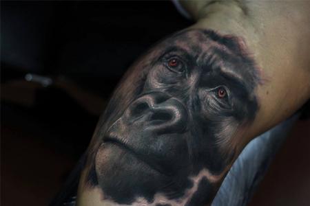 tattoos/ - Gorilla - 101782