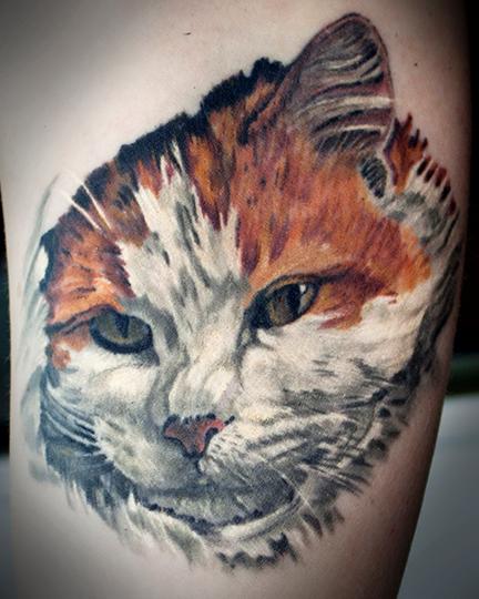 tattoos/ - cat portrait - 108211