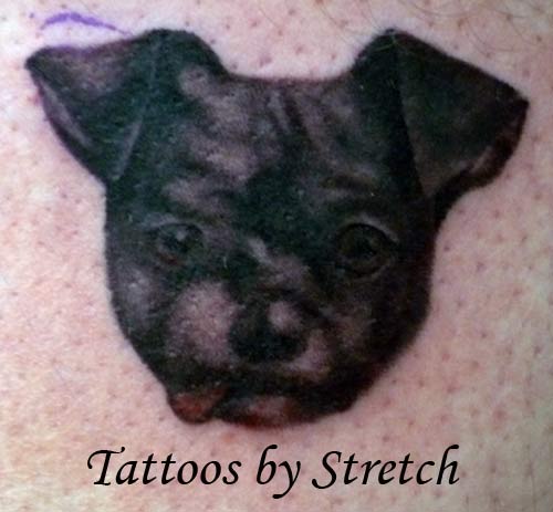 Looking for unique  Tattoos? Dog Portait